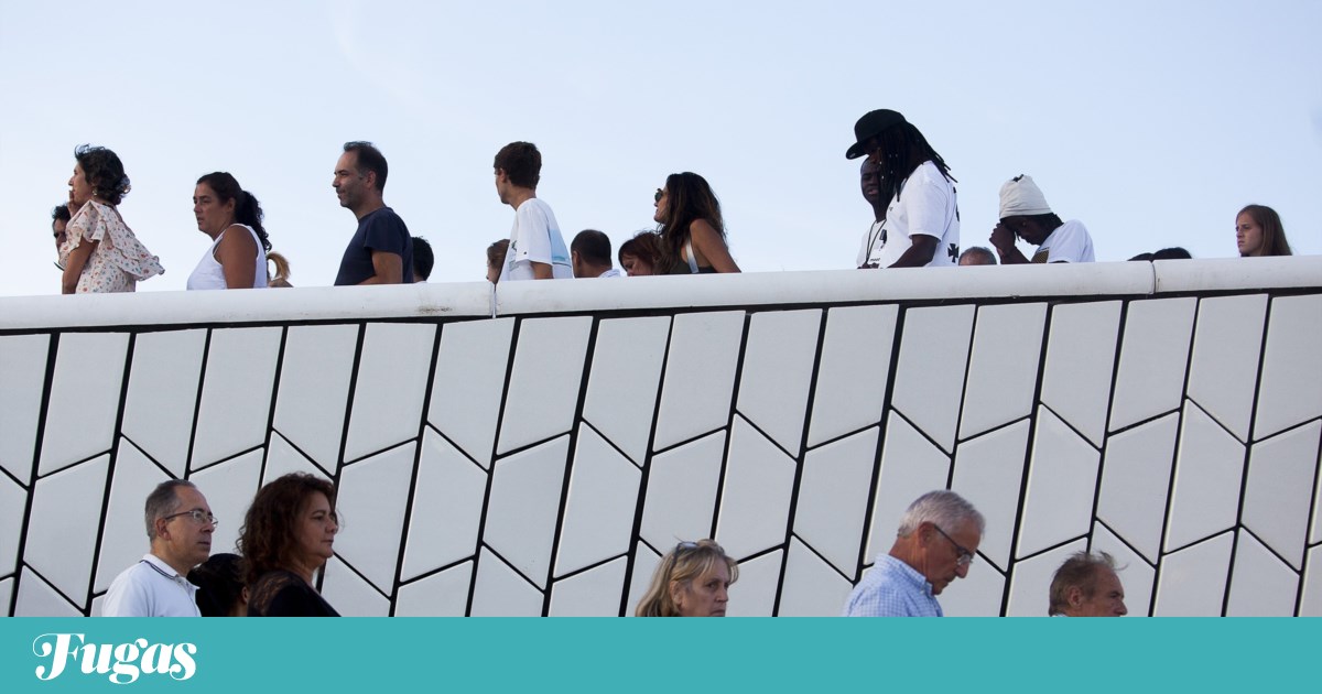 O Museu da Partido: Durante o dia, vamos visitá -los e celebrá -los | Lazer
