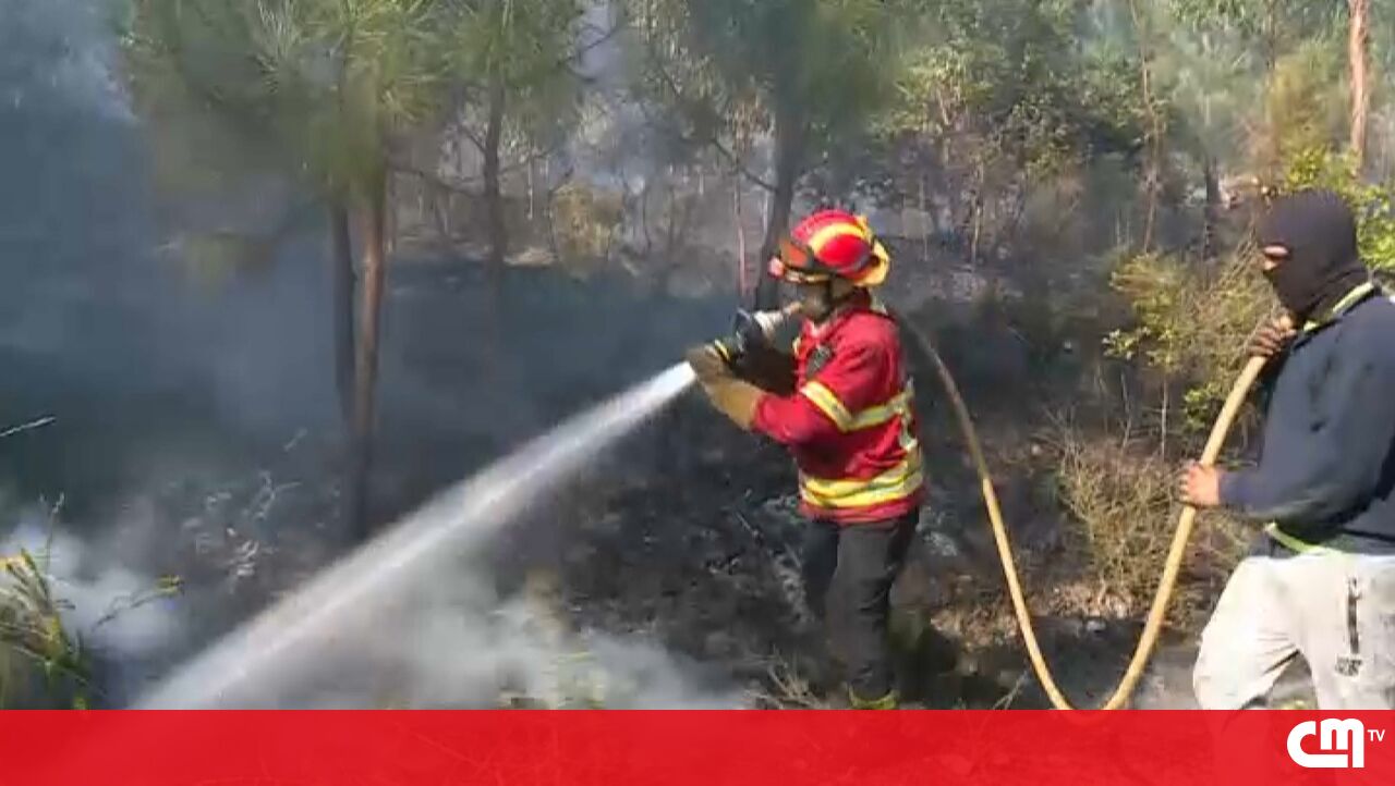 O Relatório Europeu alerta a “taxa de mortalidade” de Portugal relacionada a fogos de artifício – vídeo