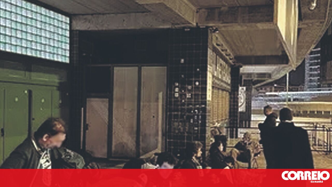 O acampamento qualificado de Alvalade esperando ingressos – futebol