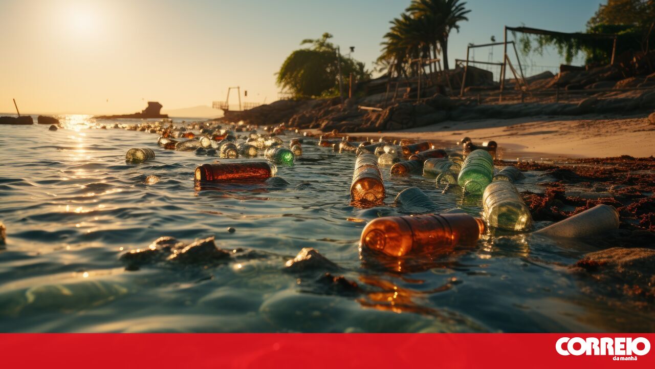 O consumo asiático de bebidas causa resíduos de plástico na praia em Cape Verde – Mundo