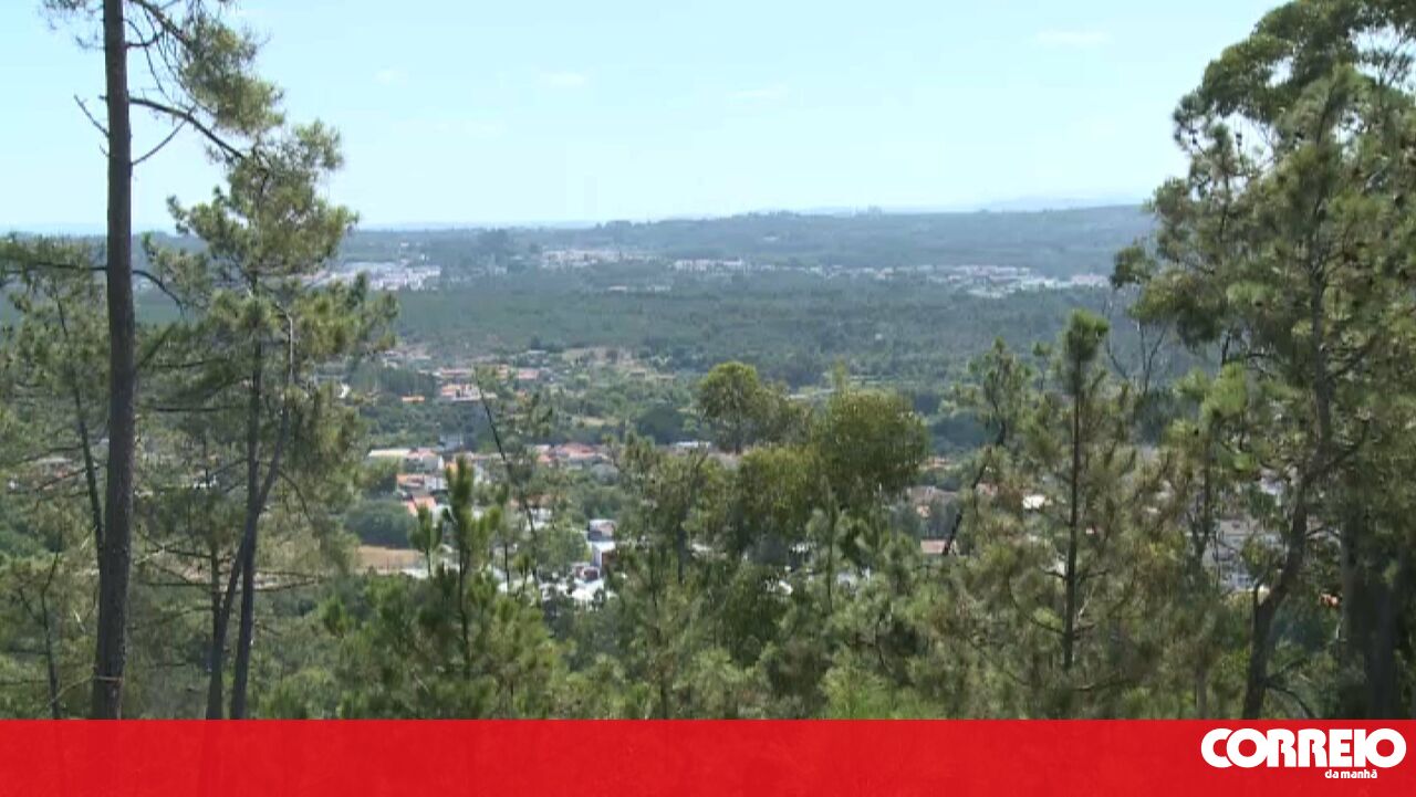 O governo pede aos proprietários que limpem a terra “o mais rápido possível” – política