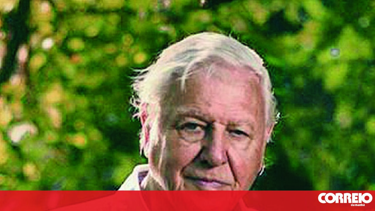 O grande “mestre” do oceano em 99 anos-culturais