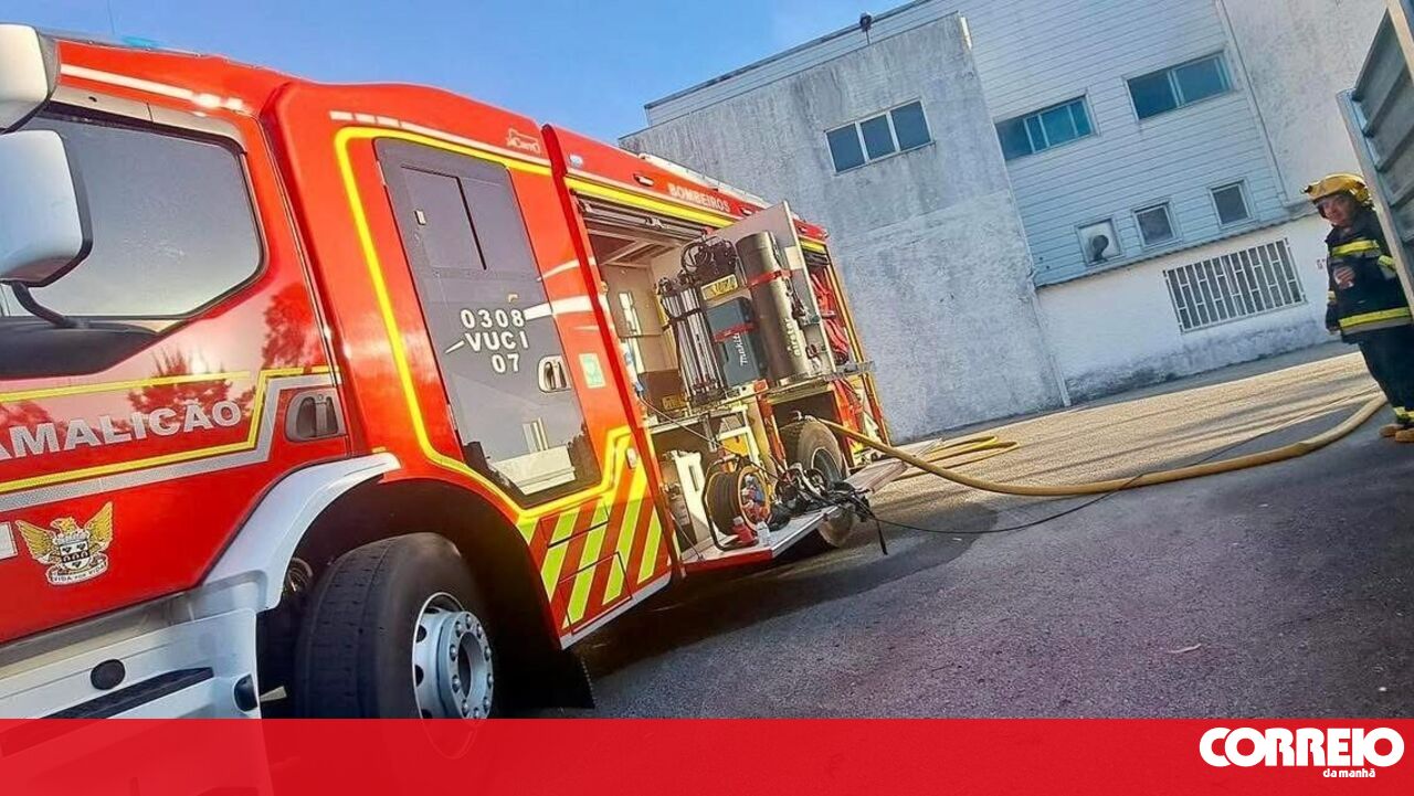 O incêndio em Valas mata 25 animais em Vila Nova de Famalicão – Portugal