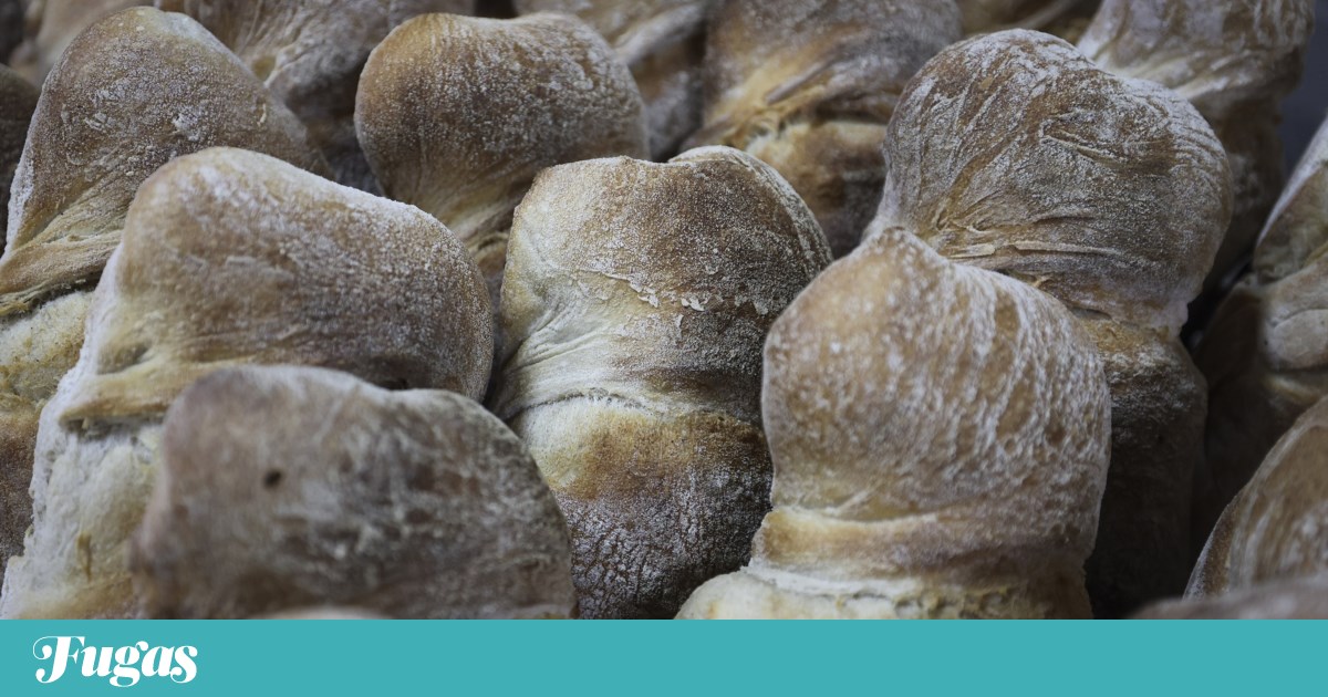 O que fazer neste fim de semana? Festa nos arbustos e pão em Portugal | Lazer