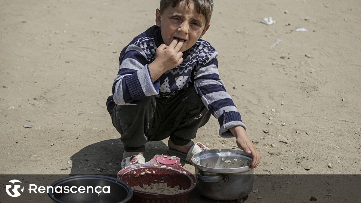 ONU medo de 140.000 mortes infantis em Gaza nas próximas 48 horas