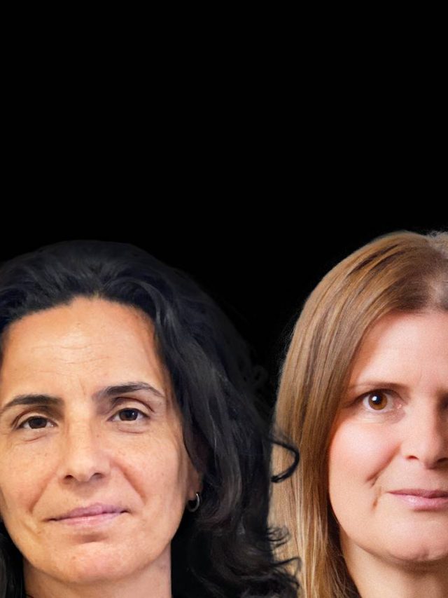 Opor -se aos fatos, sem argumento? Violência doméstica em propostas eleitorais