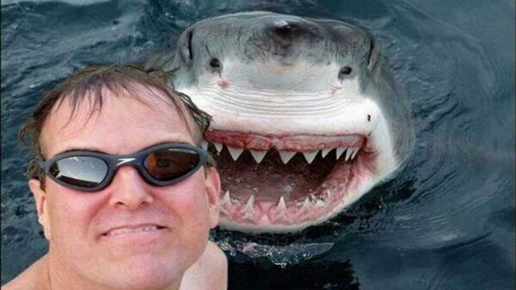 Os ataques de tubarão humano estão aumentando. Isso é culpa de tirar uma selfie