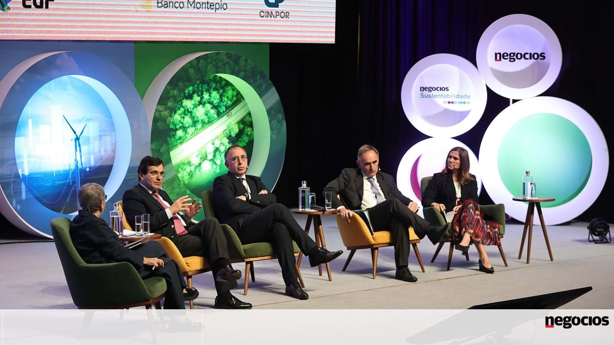 Os bancos não têm escassez de crédito. Falta do projeto, mais apostas em capital de risco – sustentabilidade