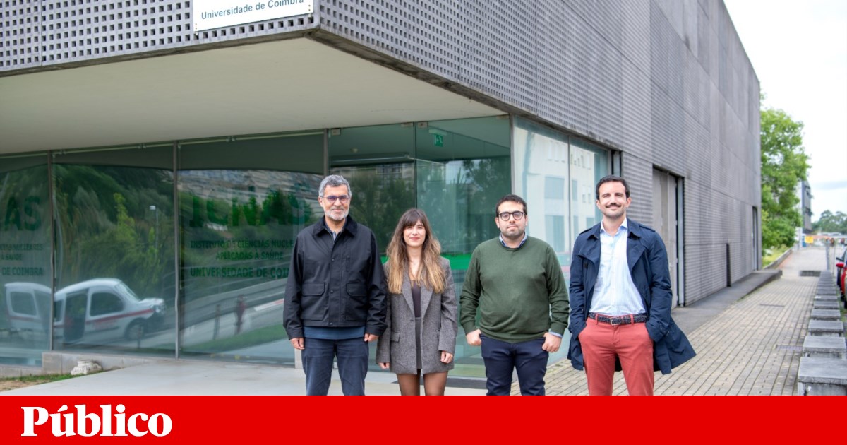 Os cientistas de Coimibra mostram os efeitos da terapia genética na doença da visão | Saúde