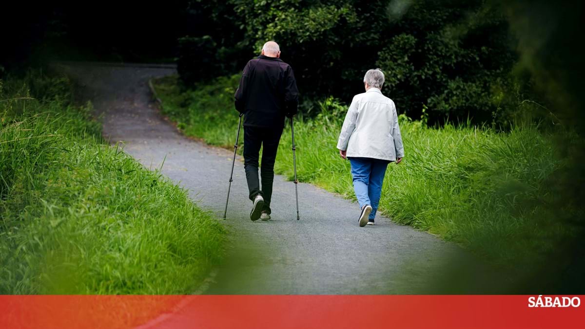 Os investigadores anunciam altas diferenças entre homens e mulheres – ciência e saúde