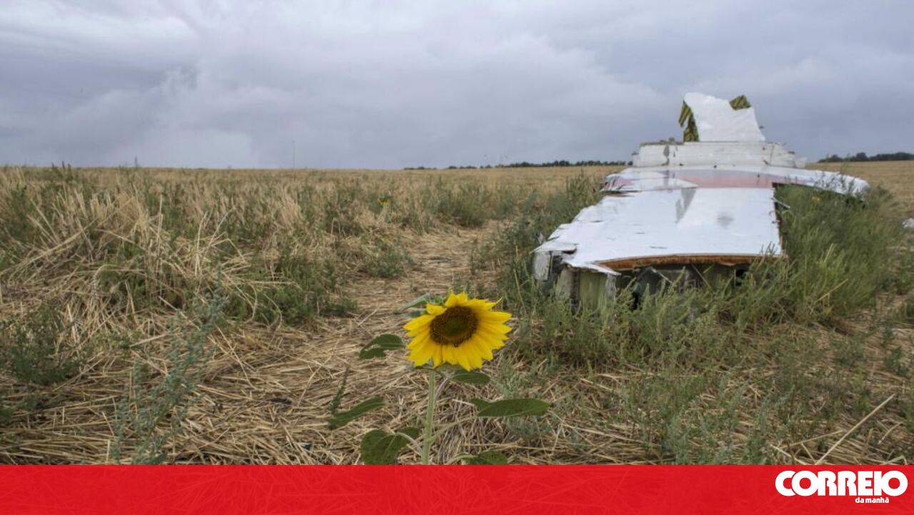Os países baixos dizem olá à decisão das agências da ONU que culpa a Rússia pelo colapso do voo MH17 – mundo