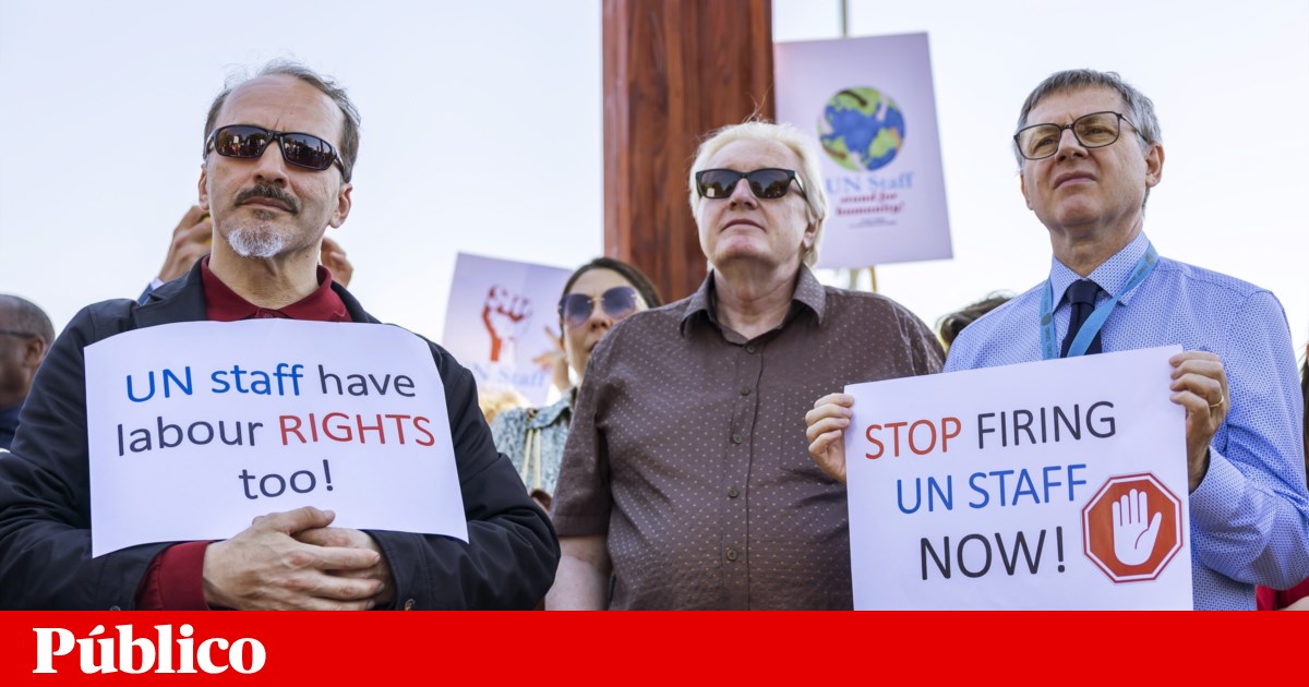 Os trabalhadores da ONU se opõem às demissões | Dia do Trabalho