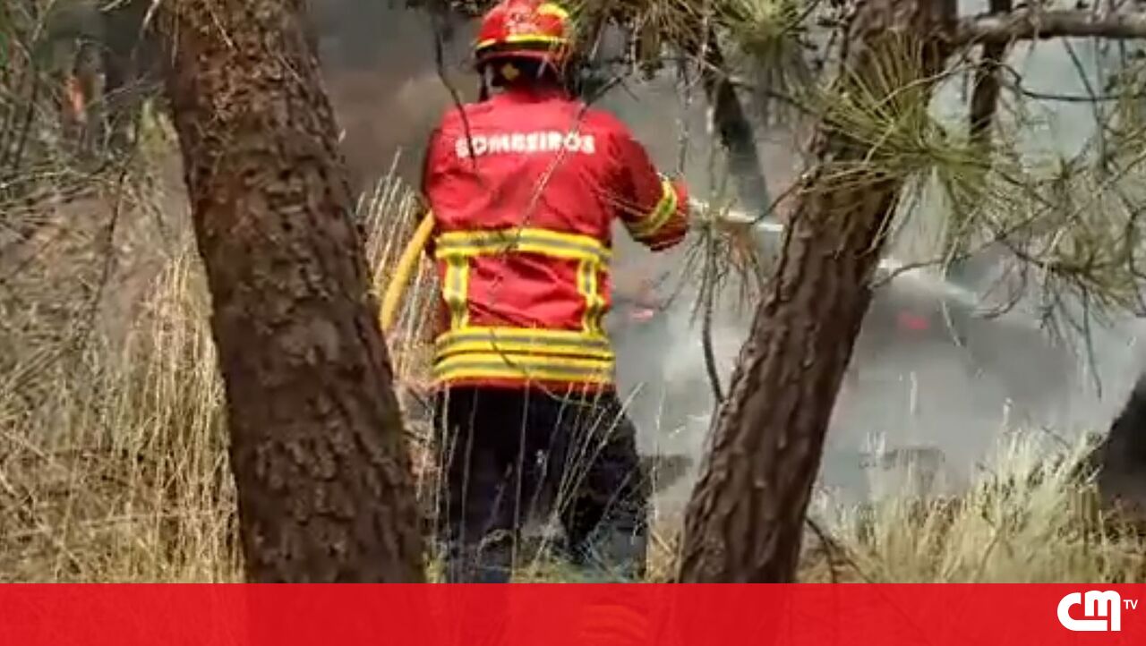 PJ supostamente incendiou Mangualde – Vídeo