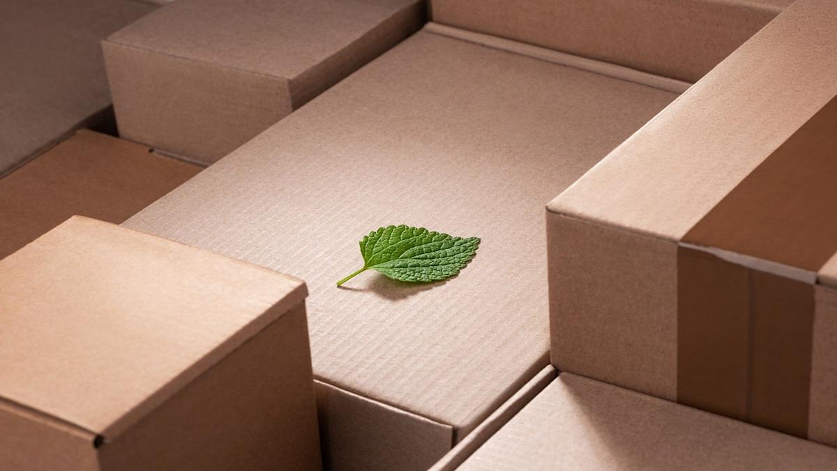 Packaging volume enhances automatic packaging solutions through new collaboration