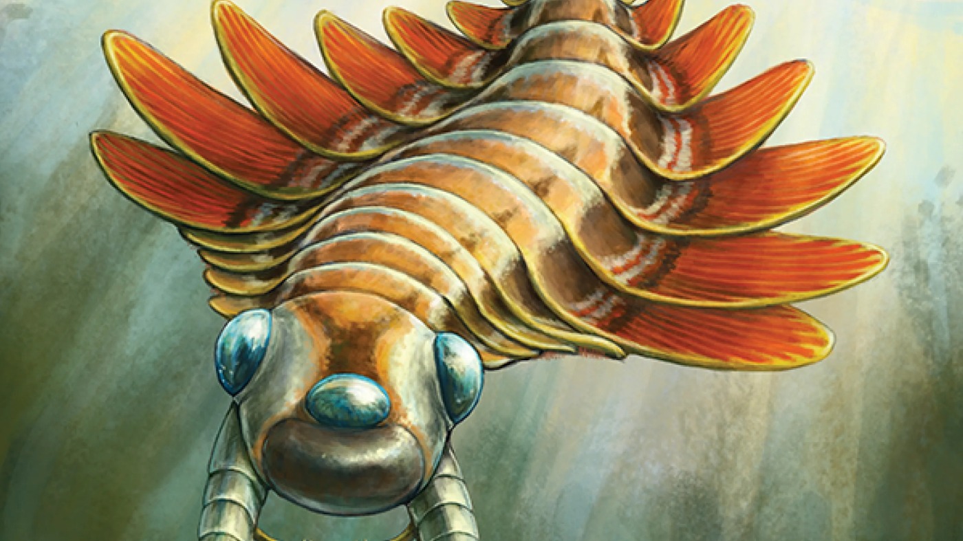 Paleontologists discover a 500 million-year-old 3-eyed predator: NPR