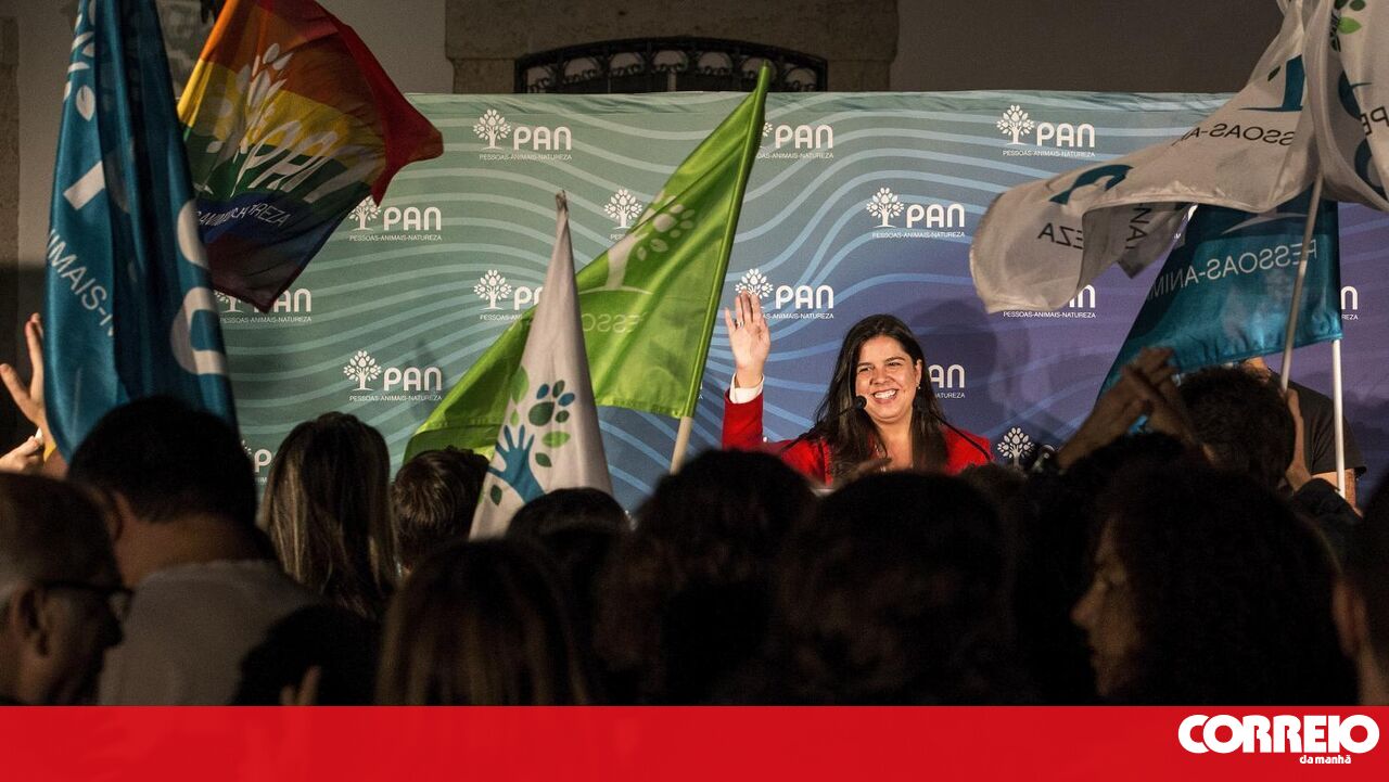 Inêssousa Real acredita que votar em partidos que já têm grupos parlamentares “não farão nenhuma diferença” – política