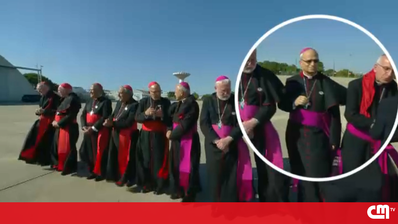 Papa Leãoxiv