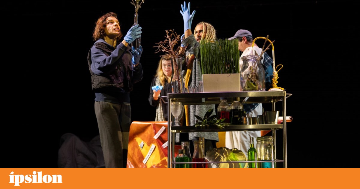Pesquisa da 2ª temporada de Cristina Carvalhal pela humanidade | Teatro