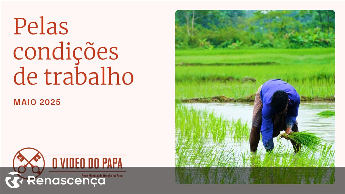 “Popular Video” convida os últimos três papas para orar por “orar pelas condições de trabalho”