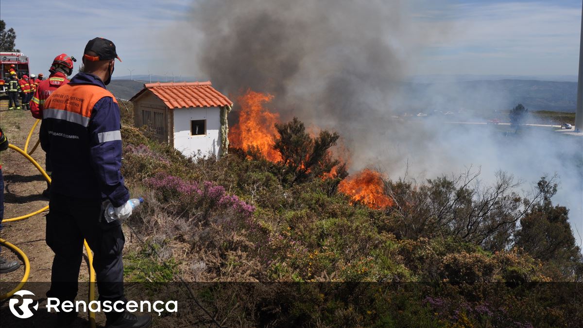 Portugal. A Europa alerta de “taxa de mortalidade” relacionada a fogos de artifício