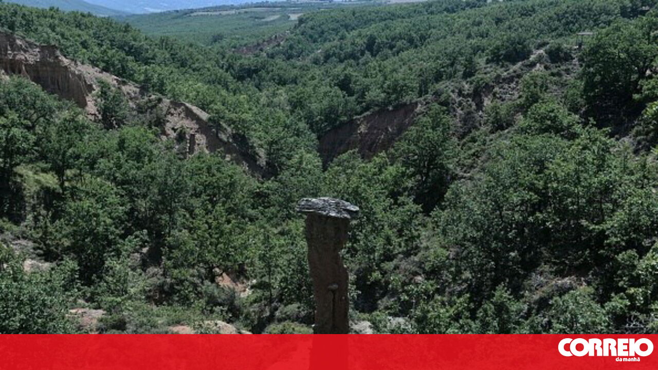 Portugal esgota os recursos naturais durante todo o ano – Sociedade