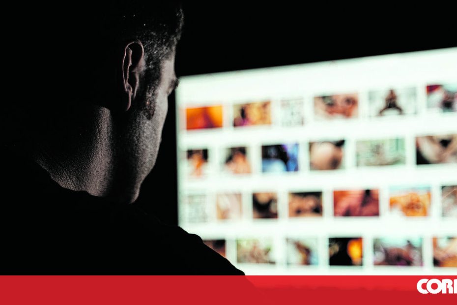 Predator Companions crianças, famílias e 31 vítimas de ataque - Portugal