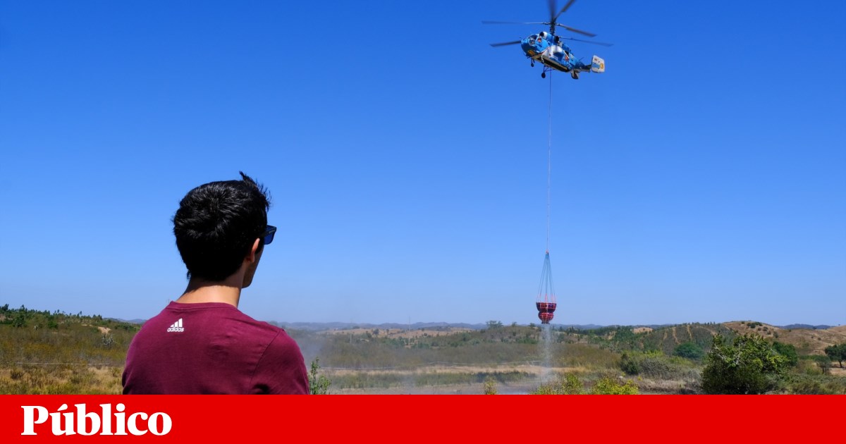 Procura a Força Aérea de Cartelização em Suspeita de Fighting de Fundos | Fogo florestal