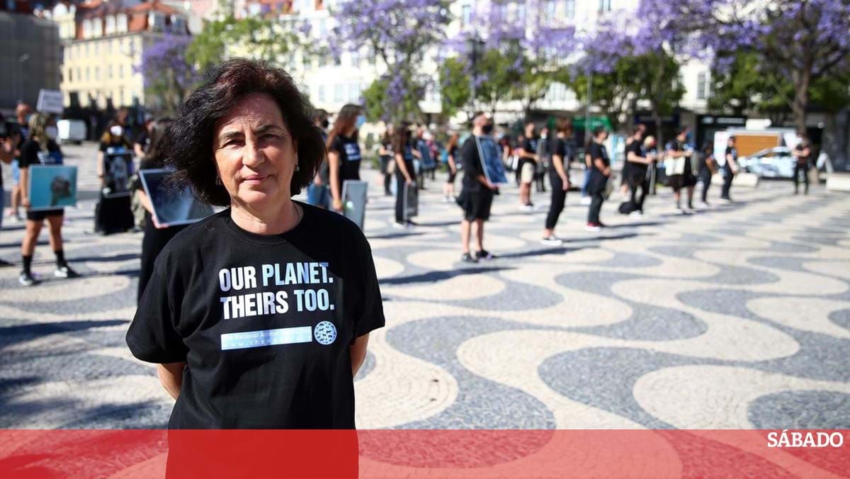 Profissionais de cinema alertam sobre assédio “condene o silêncio” – cinema