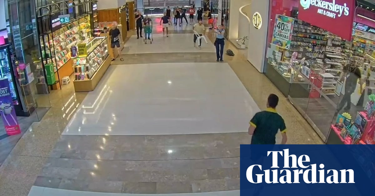 Psychiatrists think Joel Cauchi's “fit and proper” possesses a gun license before Bondi socket stabbing | Bondi Connected Sting