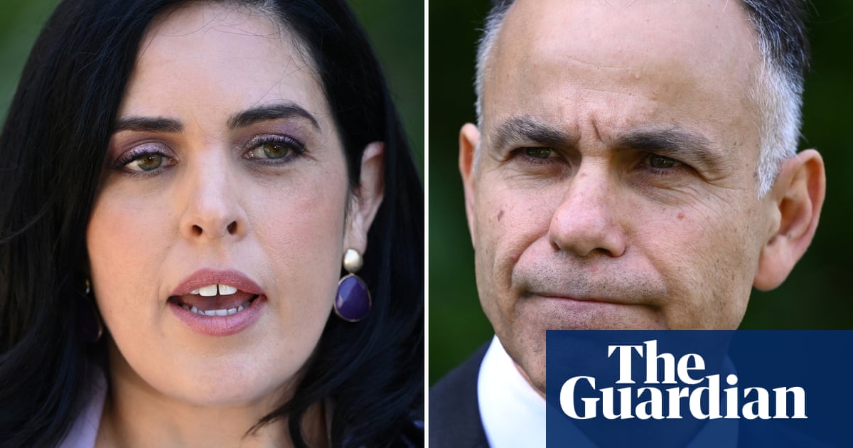 Push John Pesutto from bankruptcy after $2.3 million Moira believes defamation cost order | Victorian politics