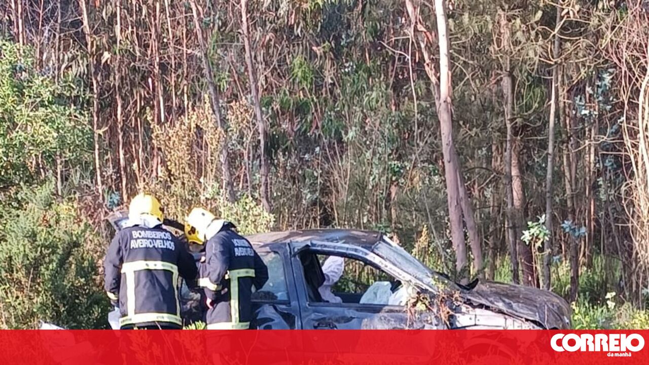Quatro pessoas ficaram feridas em colisão A1 em Aladia – Portugal