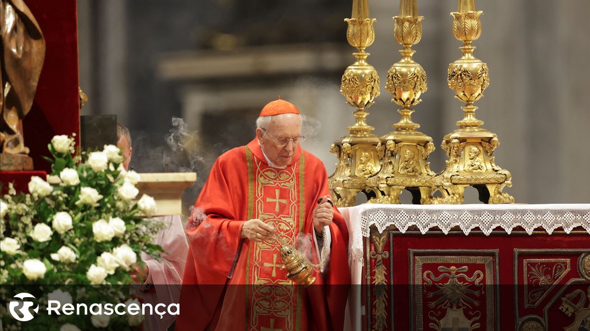 Que o próximo papa “Aprenda a despertar a consciência de todos” e perguntar ao reitor do Cardinal College
