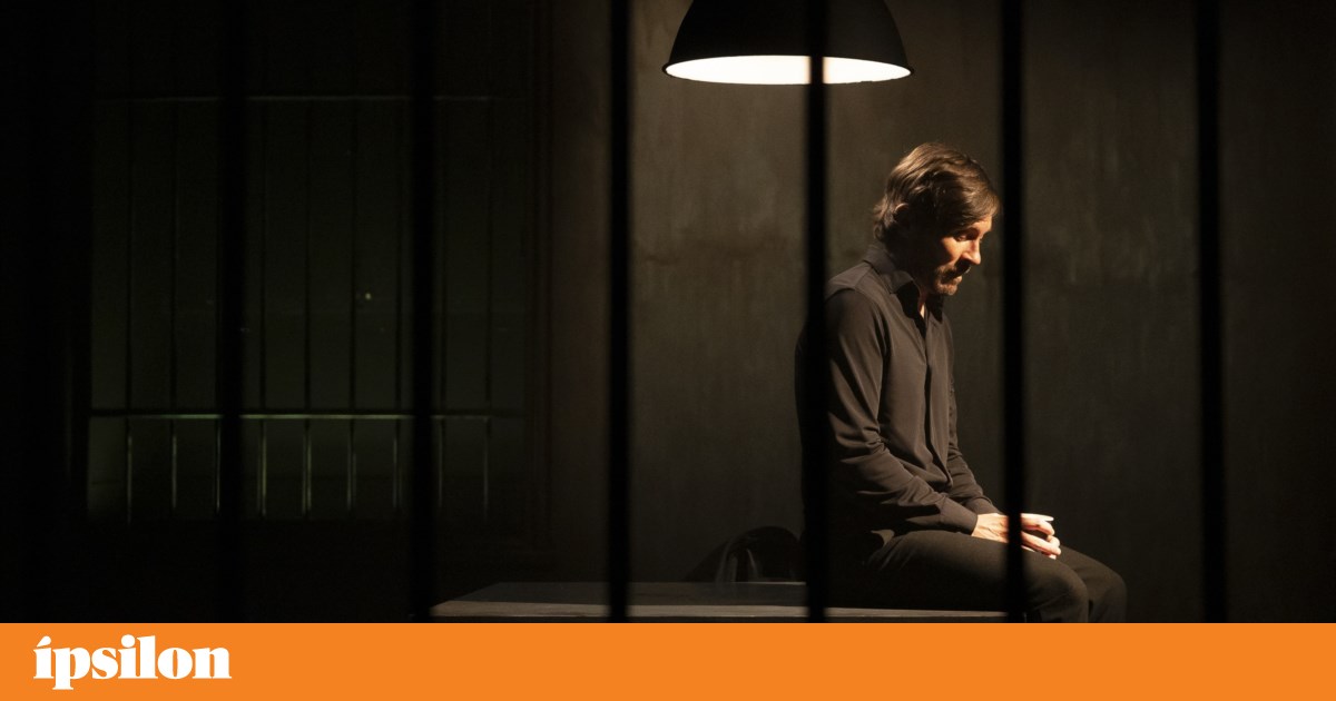 Quem está atrás do bar: mais eutanásia do que a nossa? | Teatro
