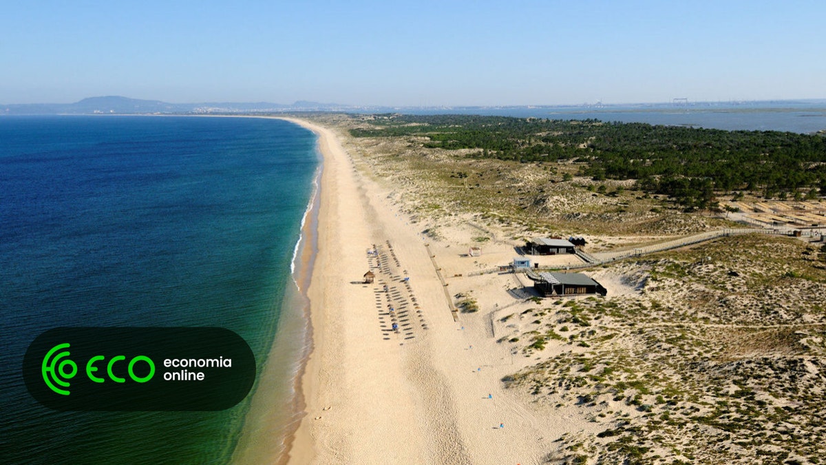 Quercus distingue entre 425 praias, com “massa dourada” e 5 a mais que em 2024