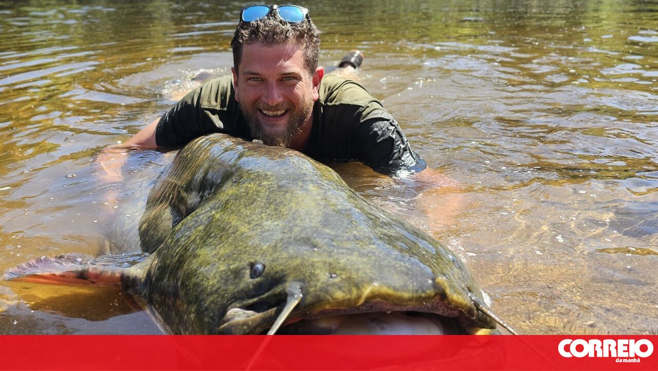 Registro: 102 libras de peixe com tagus rico em cana -de -açúcar -cm para mIMC