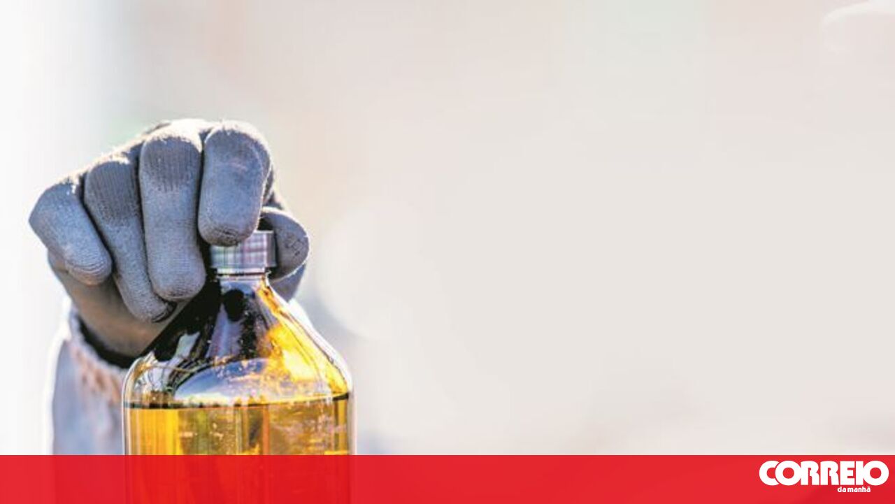 Relatórios apontam para fraude em biocombustíveis – economia