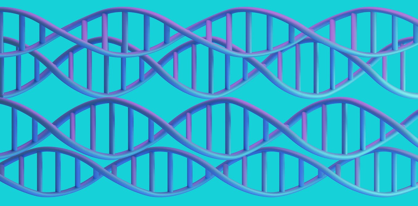 Researchers have discovered hundreds of genes associated with obsessive-compulsive disorder, providing clues about how it changes the brain – New Research