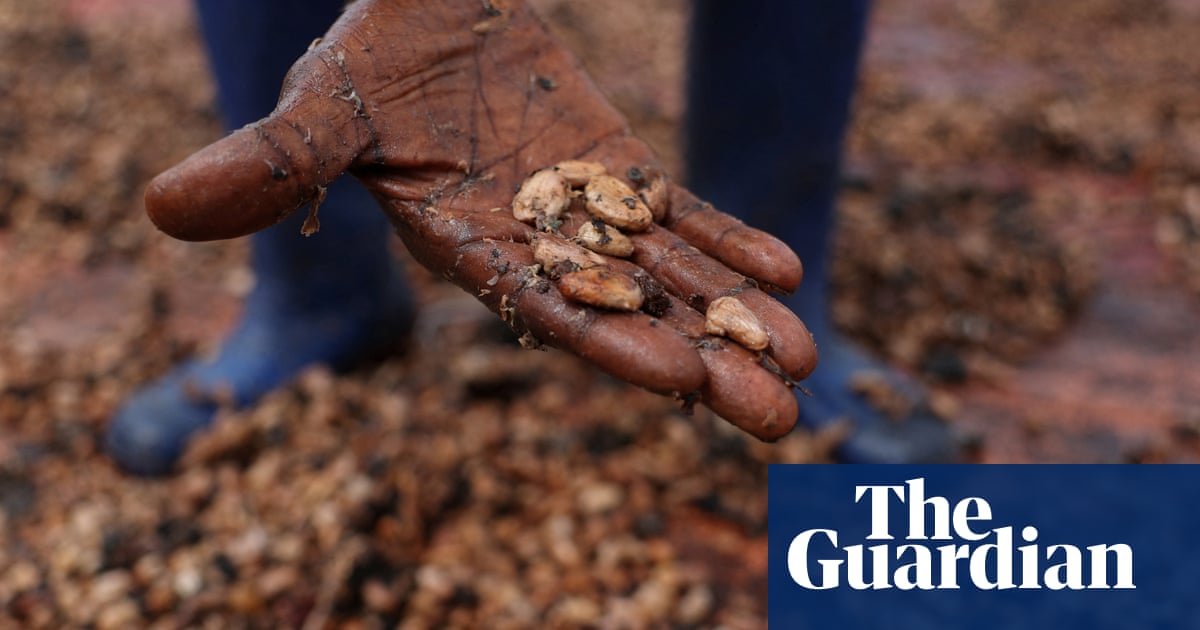 Researchers warn that the EU's “chocolate crisis” has worsened. Climate crisis
