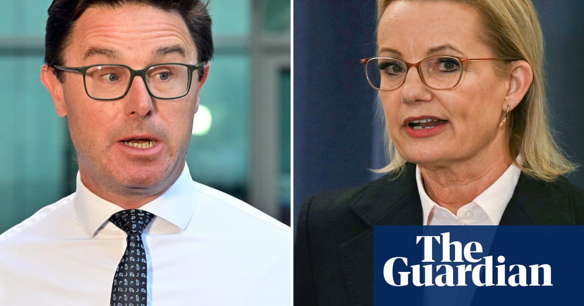 Ross and Australian politics Rachel are still resting – but the alliance may bring things back | alliance