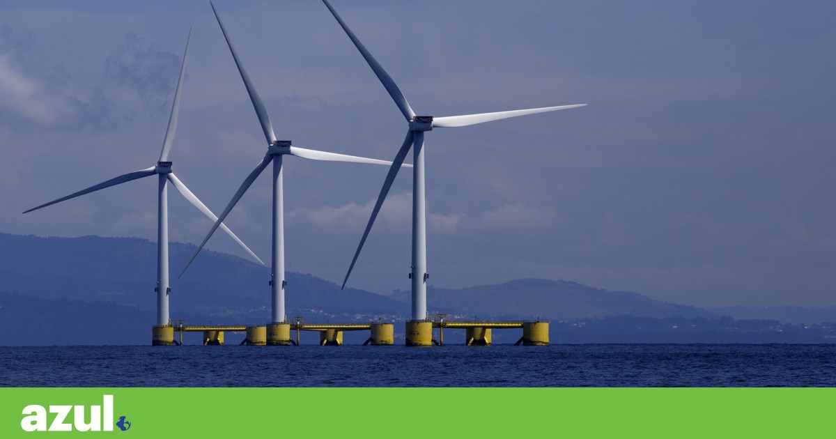 Sea Wind Park Largo 270 Tipos de Viana do Castelo Casas | Vento