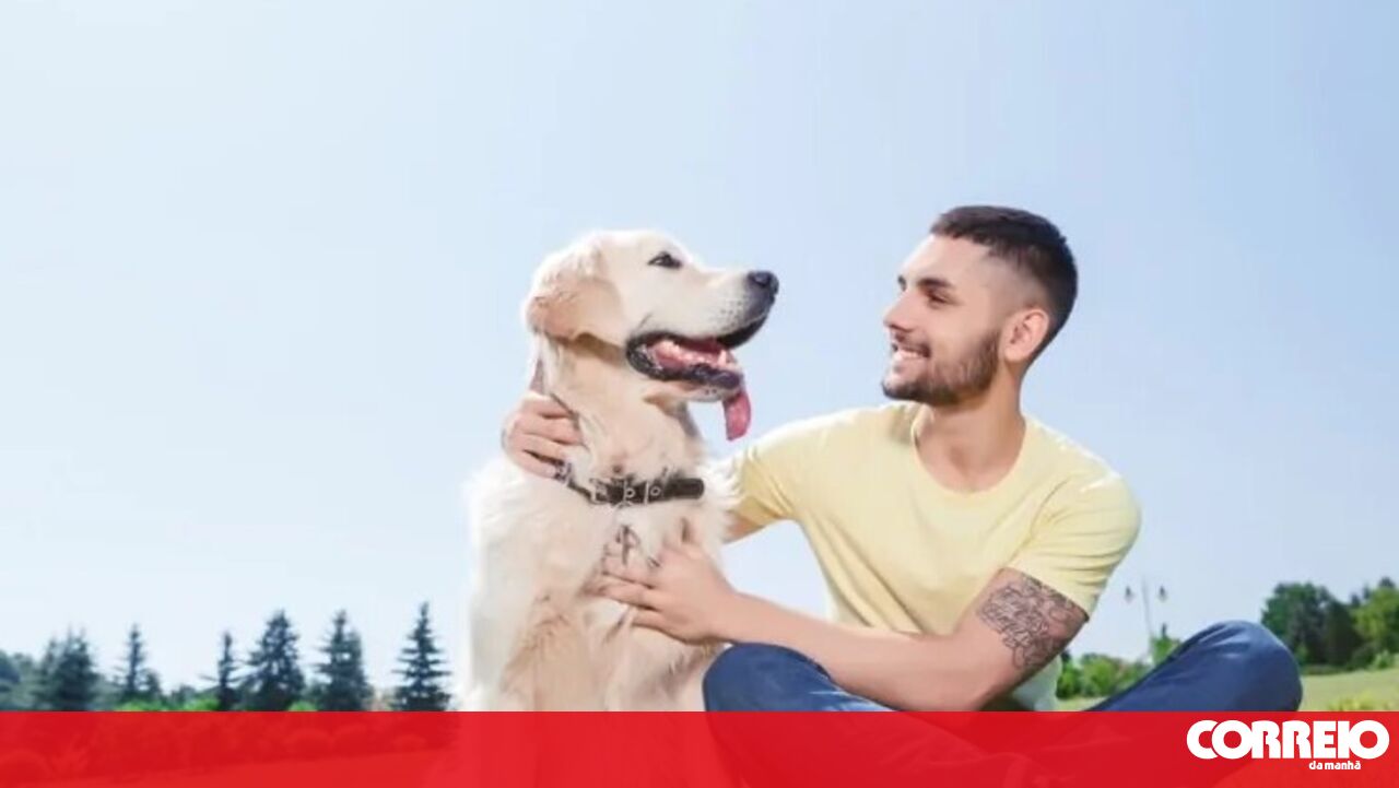 Seus amigos leais desobedecem a você? Estas também são 6 maneiras de melhorar a comunicação com o tapete! – Sociedade