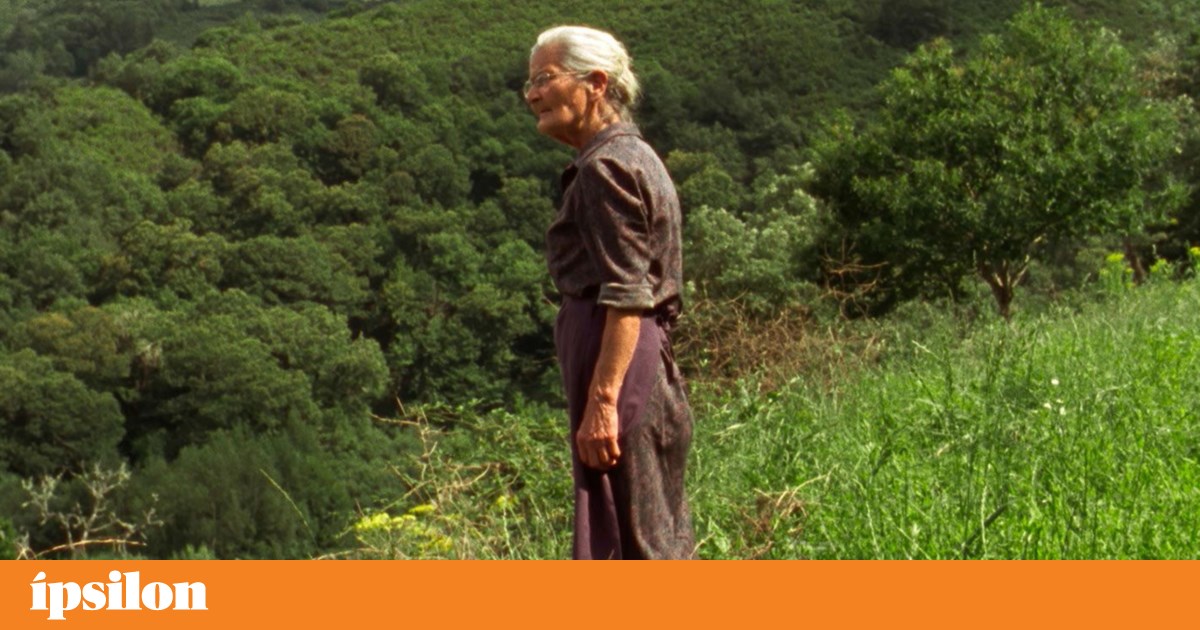 Sexta -feira na TV: caramba, boas ondas e que queima | TV
