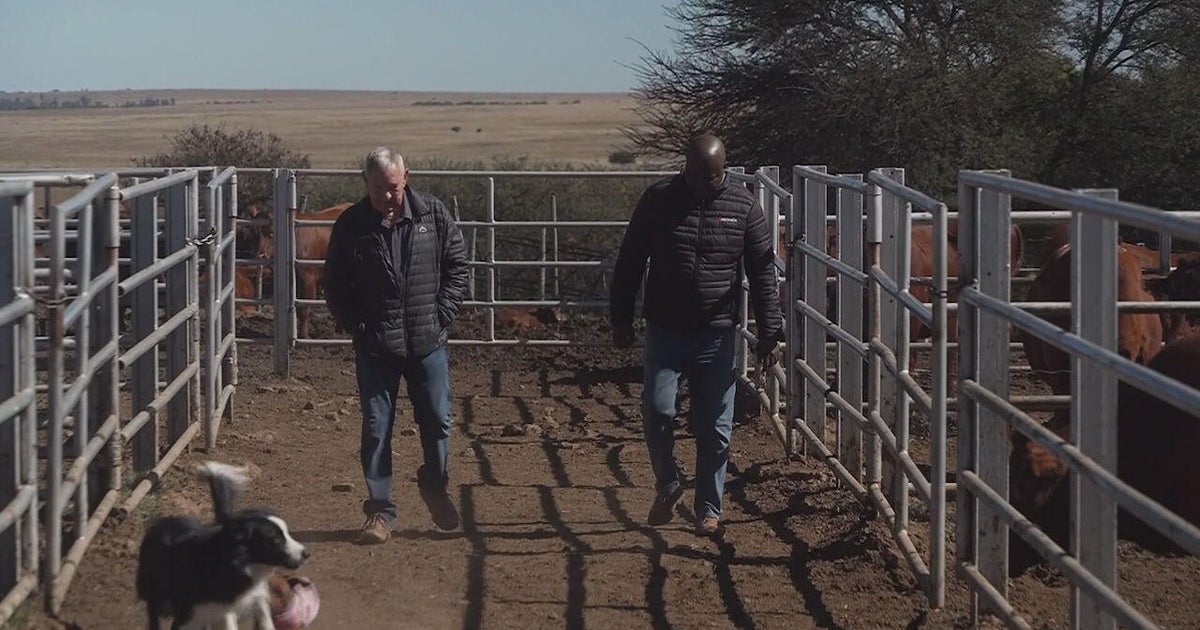 Some Afrikaans say Trump was lied to a “white genocide” in South Africa: “This did not happen”