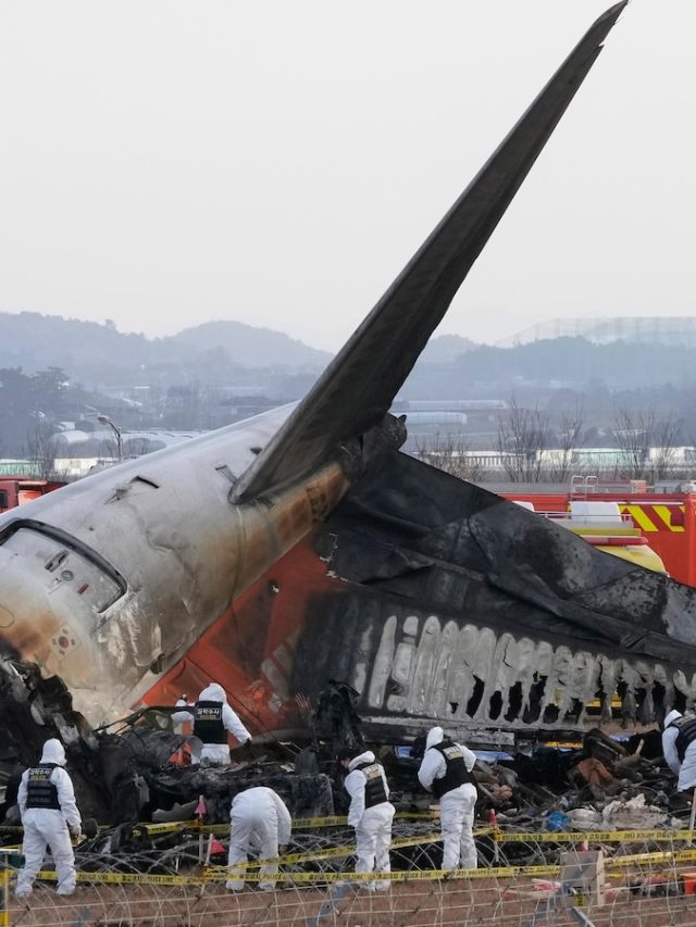 South Korean victim's family complained to 15 officials