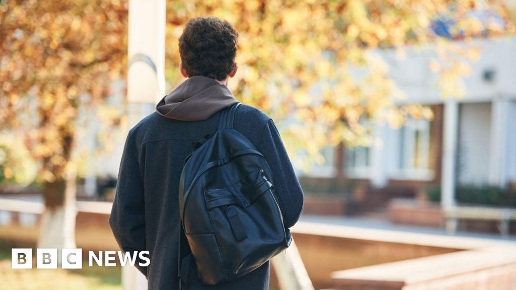 Student suicide review says UNIS must take action to stop more deaths
