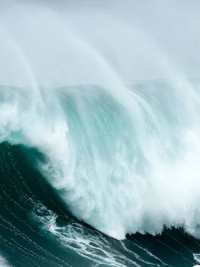 Surf, mergulho, golfinhos e caminhada na região oeste
