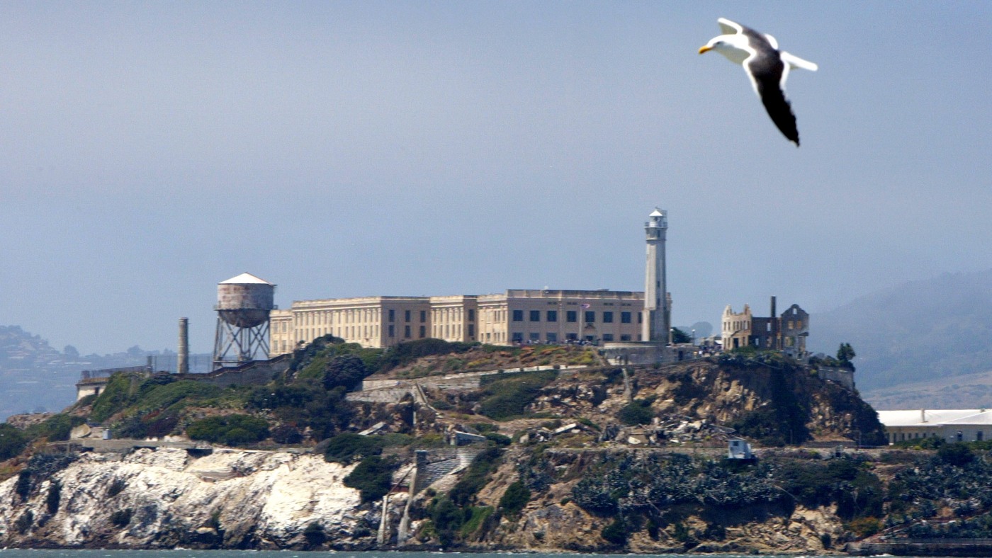 The bird is in front of the birdman on Alcatraz: NPR