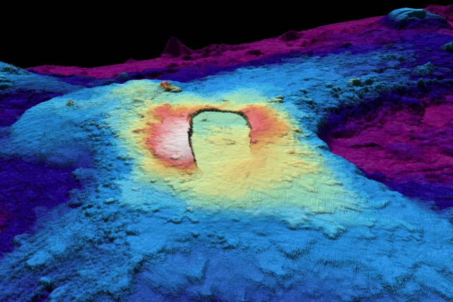 The latest hot spot for marine life may be the underwater volcano that erupts in Oregon: NPR