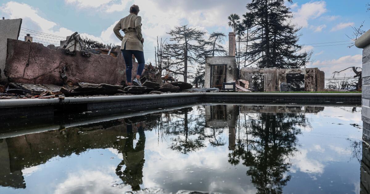 The swimming pool in the burning area of ​​Altadena is becoming a breeding ground for mosquitoes