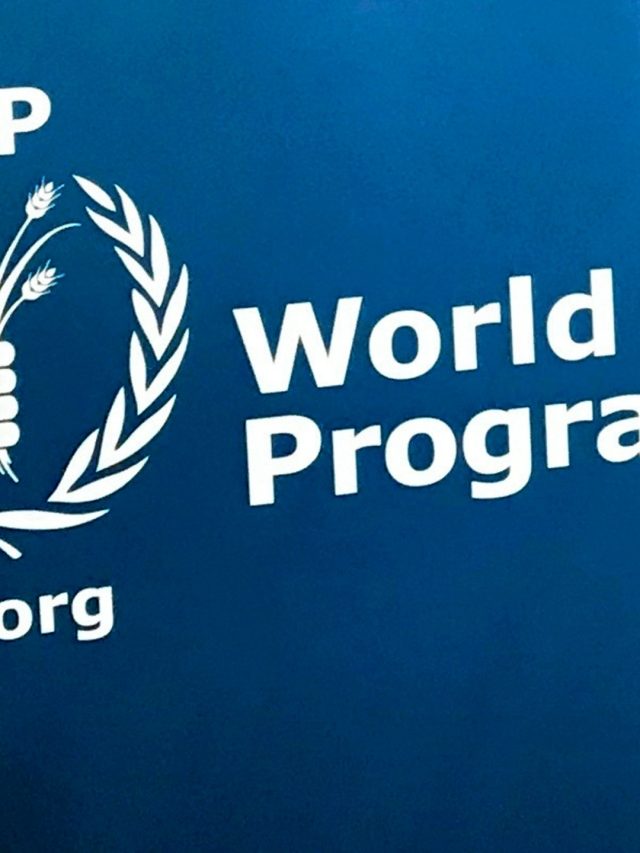 “This must stop immediately”: UN Food Corpse condemns RSF's Attack on Sudan House | Sudan War News